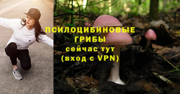 кокаин Вяземский