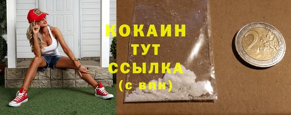 МДПВ Абаза